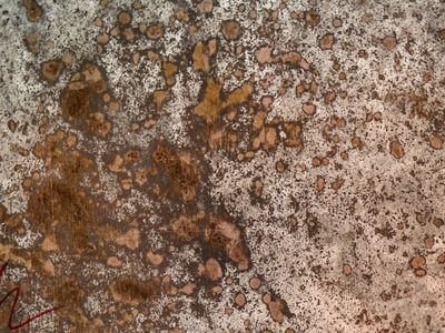 Professional water damage restoration services in Miami Beach